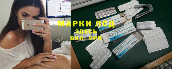стаф Абинск